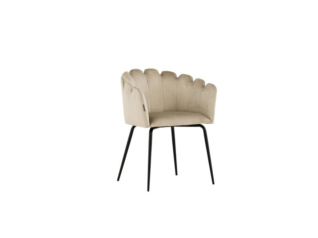 Sedia in velluto beige - dlz1766570701389